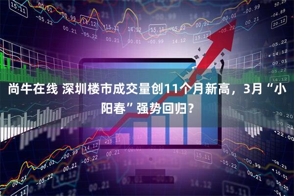 尚牛在线 深圳楼市成交量创11个月新高，3月“小阳春”强势回归？