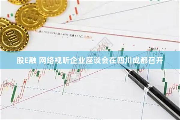 股E融 网络视听企业座谈会在四川成都召开